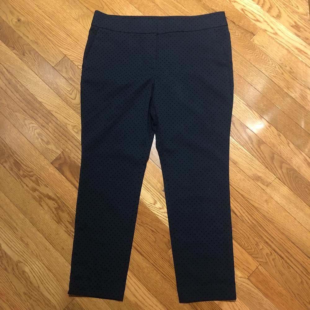 Ann Taylor Loft Blue Dot Marisa Skinny Pant Size 12 Petite